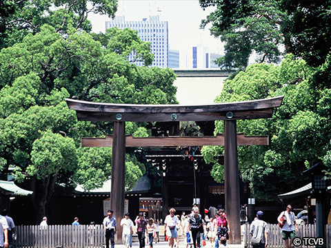 Meiji Shrine (Meiji Jingu) 