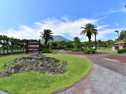 Hachijo Botanical Garden