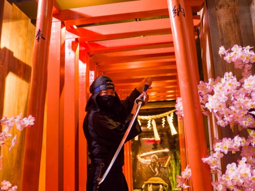 Activity of Ninja Trick House in Tokyo 