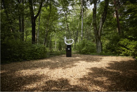 Distant photo of a sculpture exhibited in the forest 2