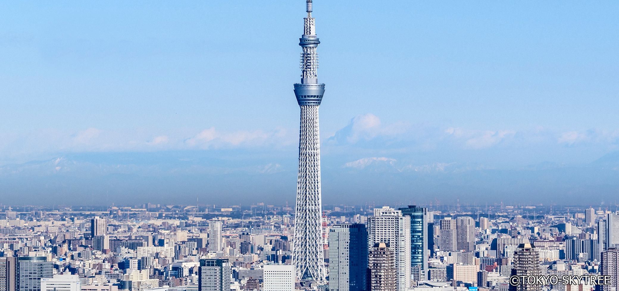 Oshiage / Mukojima / Tokyo Skytree